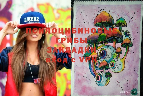 молекула духа Михайлов
