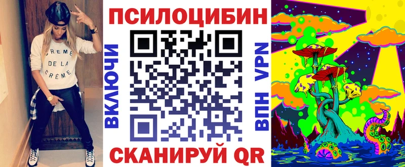Псилоцибиновые грибы Cubensis Нальчик