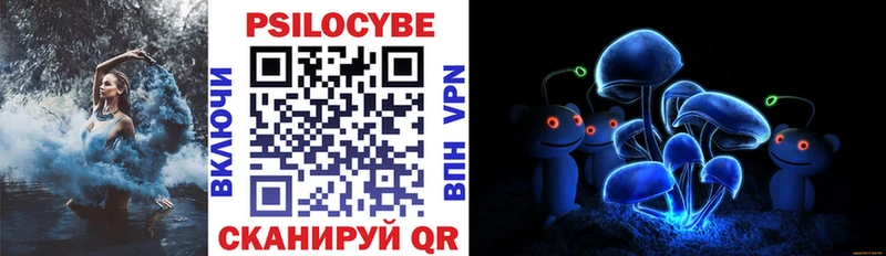 Галлюциногенные грибы мухоморы наркотики Нальчик