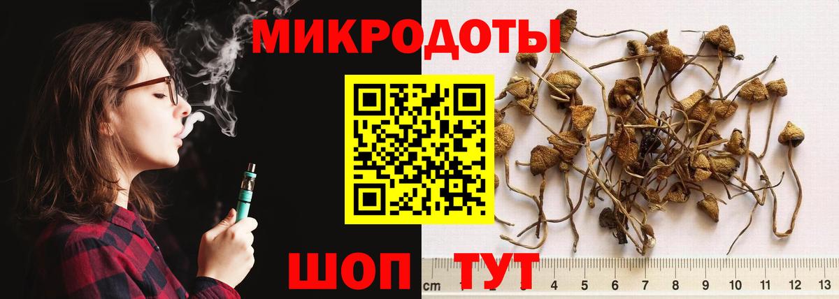Галлюциногенные грибы GOLDEN TEACHER  Вход с VPN  Нальчик 