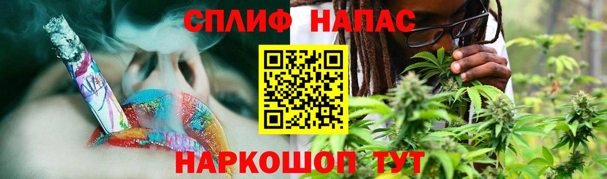 Бошки Шишки SATIVA & INDICA  МАРИХУАНА AK-47  Нальчик  Конопля конопля  Шишки марихуана план  Вход с VPN 